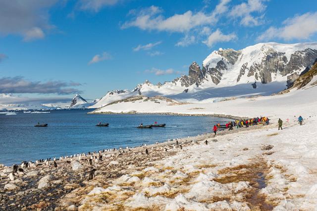 097 Antarctica, Cuverville Island.jpg